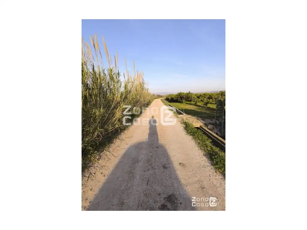Country homes for sale in Algemesí, Valencia