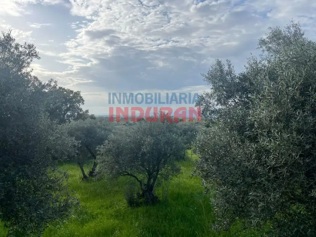 Finca rústica en venta en Millanes
