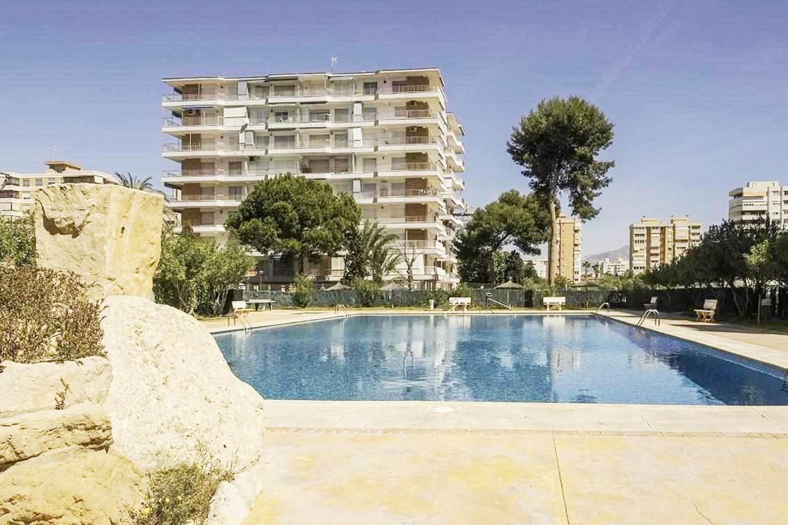Swimming pool of Apartment to rent in Alicante / Alacant  with Air Conditioner, Heating and Terrace