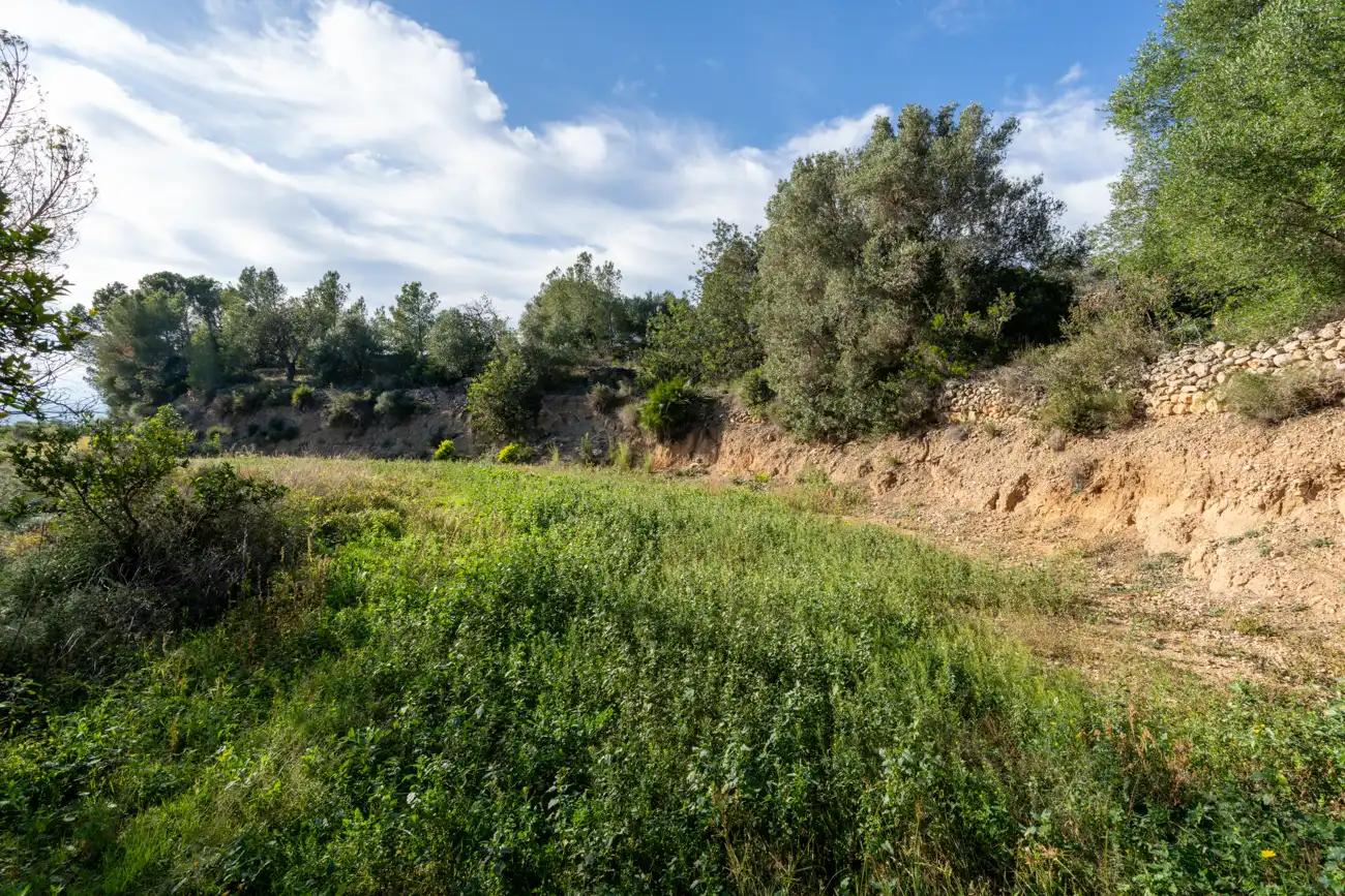Terrain rustique à vendre à T-301 57, imagen 3