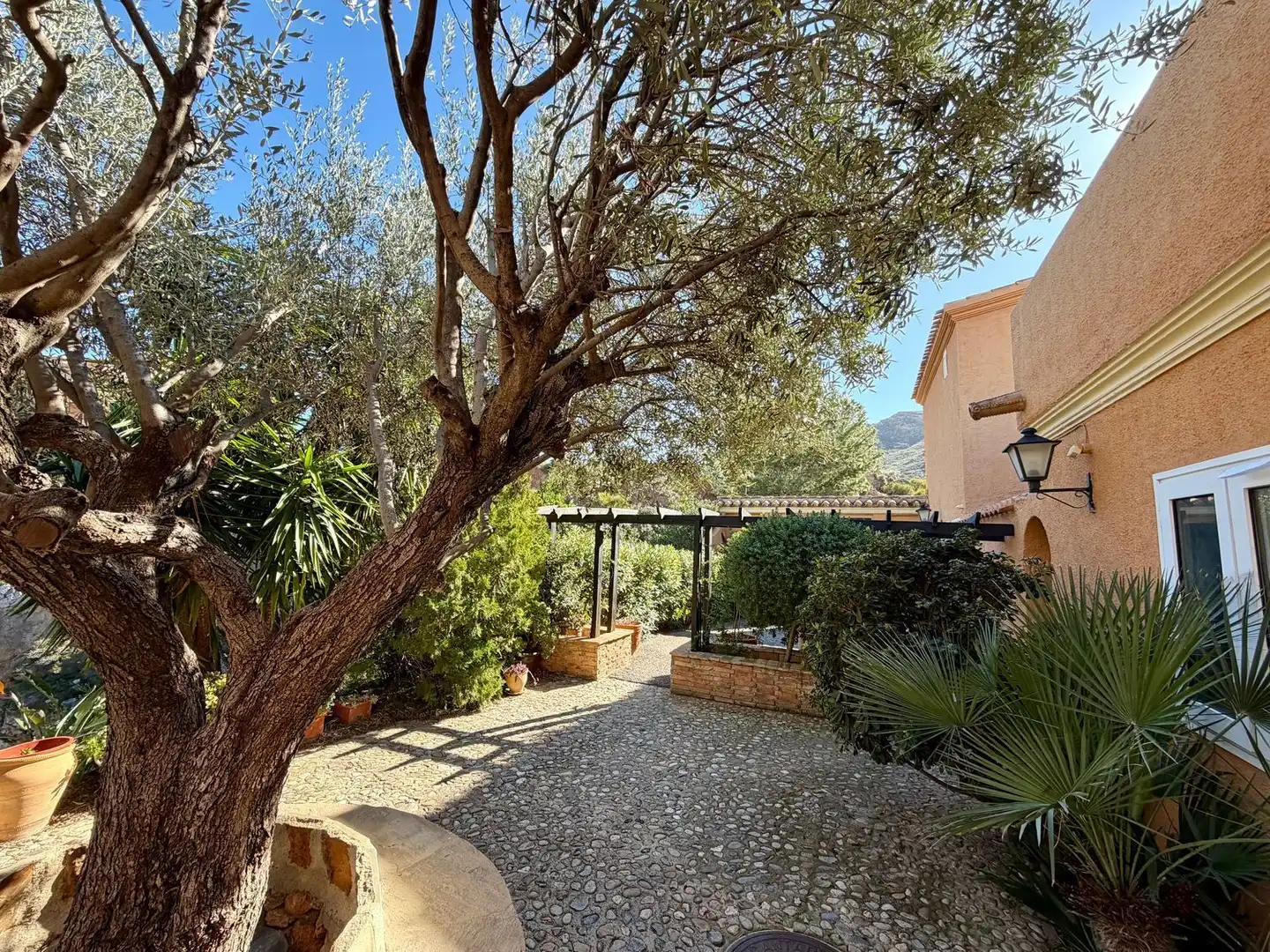 Jardí de Casa o xalet en venda en Turre amb Aire condicionat, Terrassa i Traster