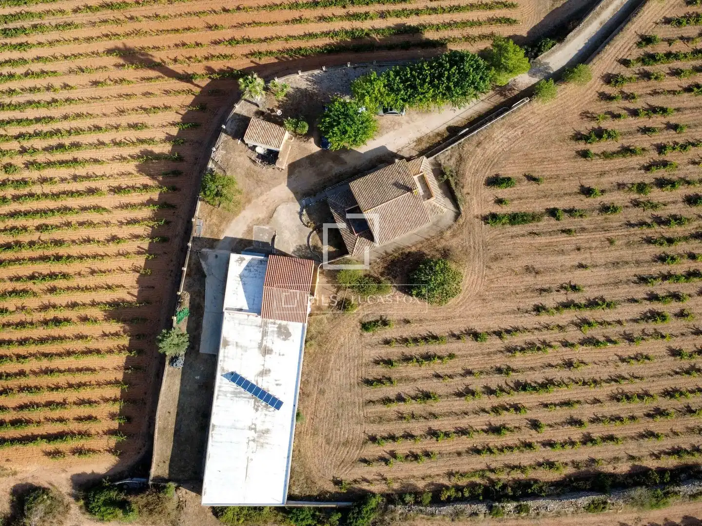 Finca rústica en venda a La Bisbal del Penedès