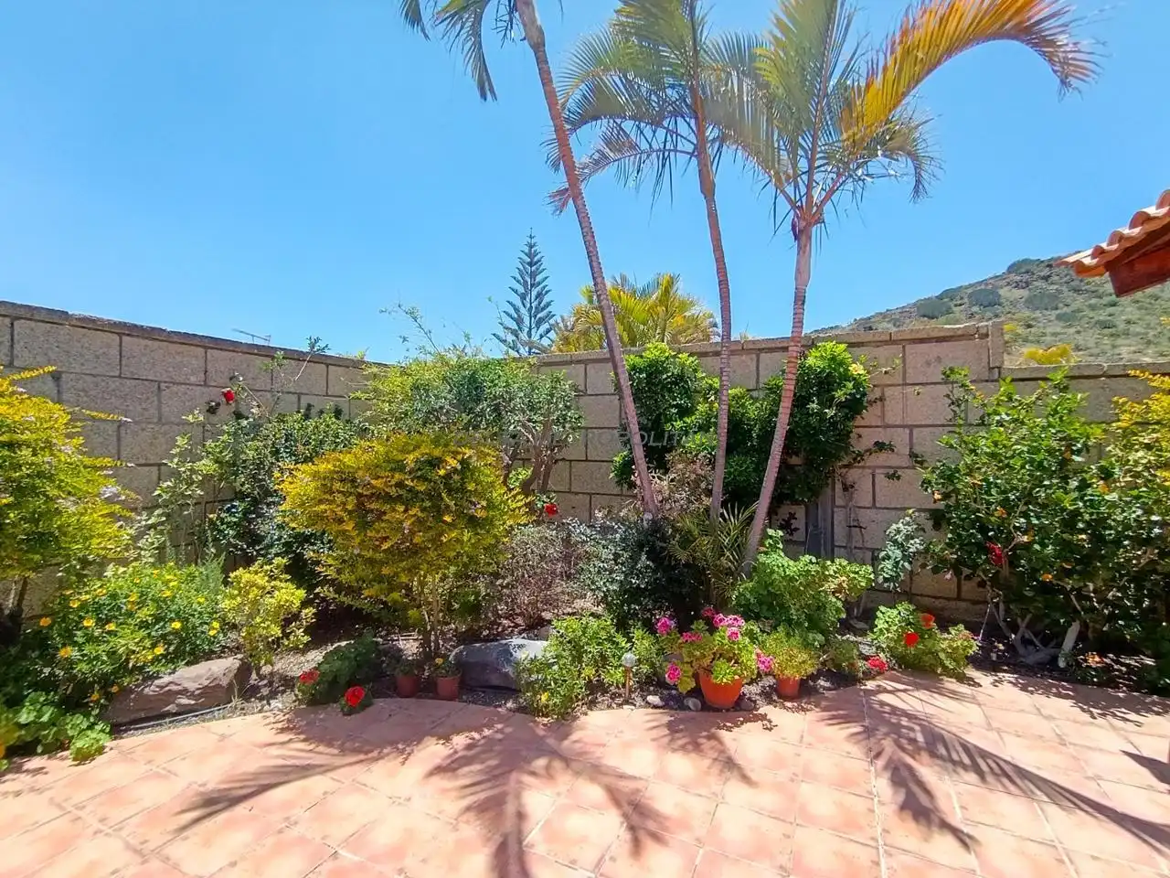 Jardí de Casa o xalet en venda en Arona amb Aire condicionat, Terrassa i Traster