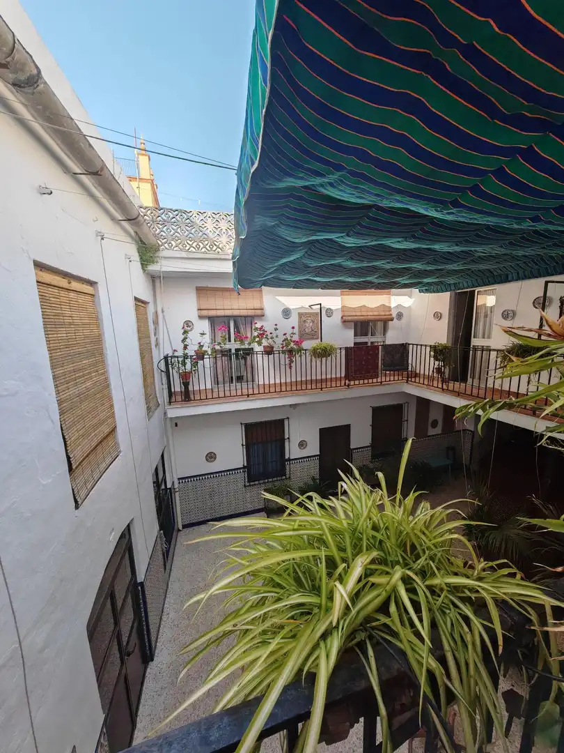 Vista exterior de Casa o chalet en venta en Écija con Terraza y Balcón