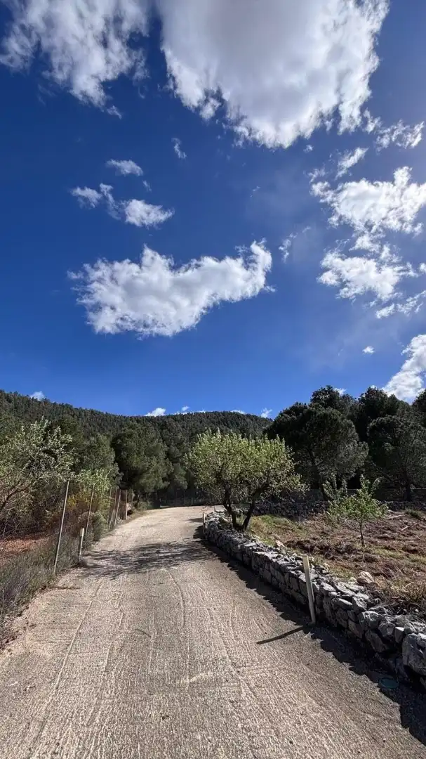 Vista exterior de Casa o xalet en venda en Cehegín amb Aire condicionat, Calefacció i Jardí privat