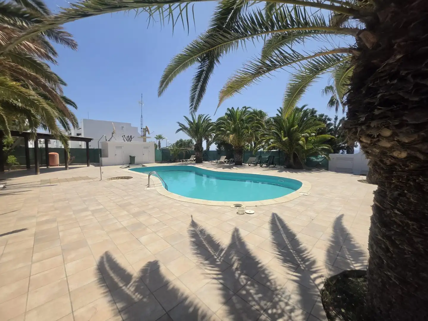 Piscina de Casa o xalet en venda en La Oliva amb Jardí privat