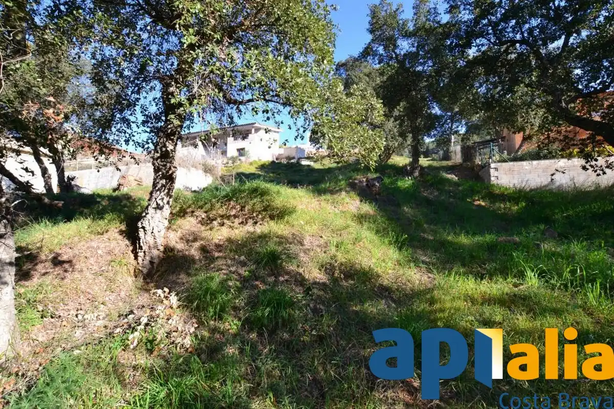 Residential land for sale in Carrer Avet 26, imagen 3