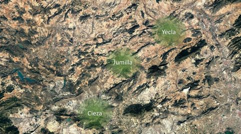 Solvia Inmobiliaria  Suelo urbanizable sectorizado Jumilla, immagine 5