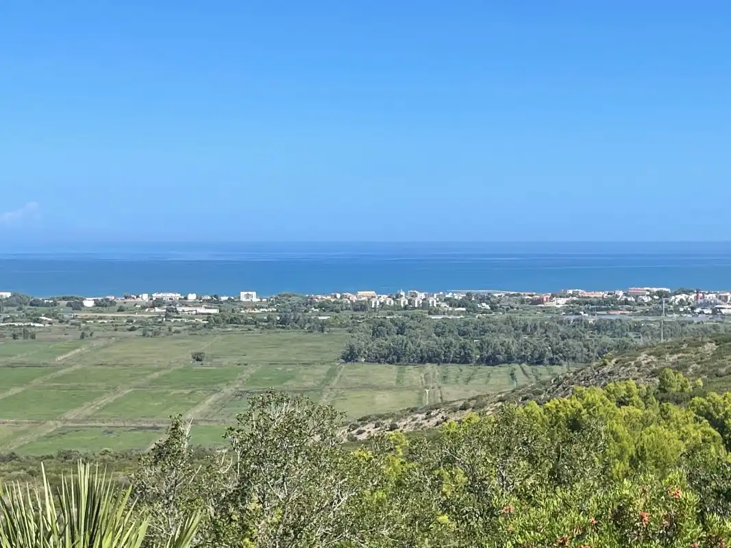 Villa con terrazza in vendita a Calle los Pinos, imagen 77