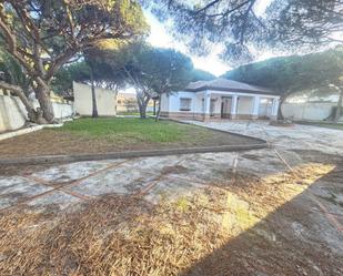 Vista exterior de Casa o xalet en venda en Chiclana de la Frontera amb Jardí privat i Terrassa