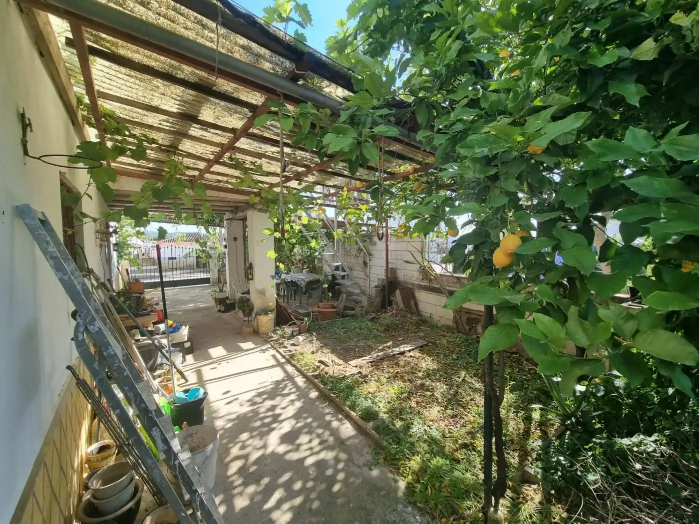 Terrassa de Finca rústica en venda en Arcos de la Frontera amb Jardí privat, Terrassa i Traster