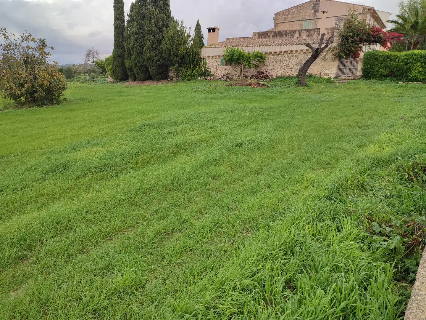 Terreno residenziale in vendita a Montuïri, imagen 8