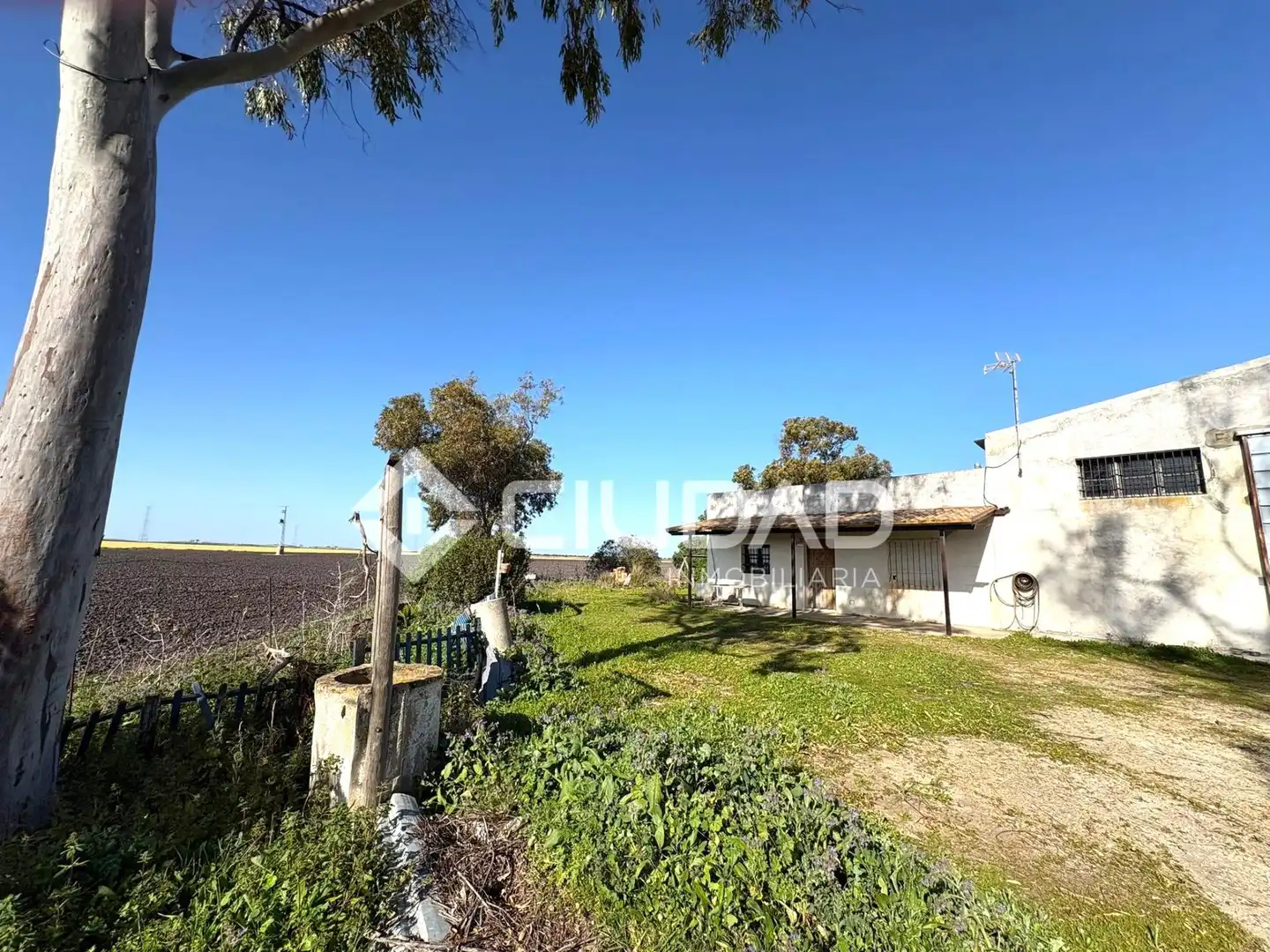 Finca rústica en venta en Sanlúcar de Barrameda