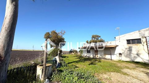 Foto 2 de Finca rústica en venta en Ctra Jerez - Ctra del Puerto, Sanlúcar de Barrameda