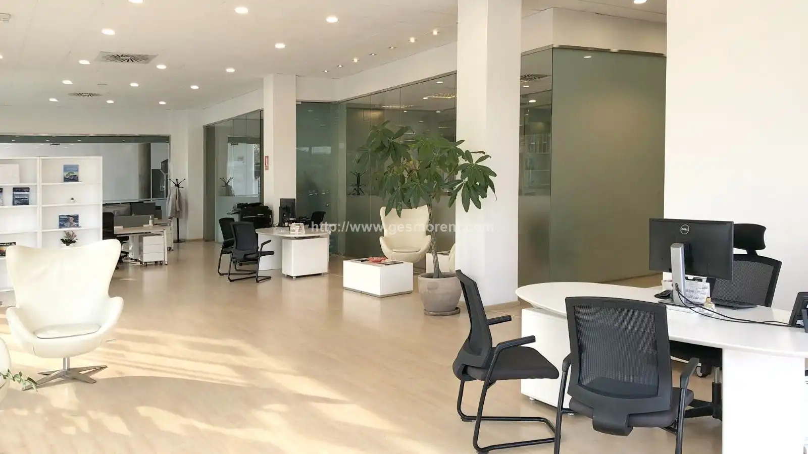 Bureau avec ascenseur à louer à Nord, imagen 2