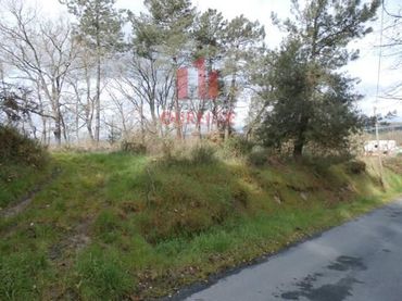 Terreni e lotti in vendita a O Pereiro de Aguiar