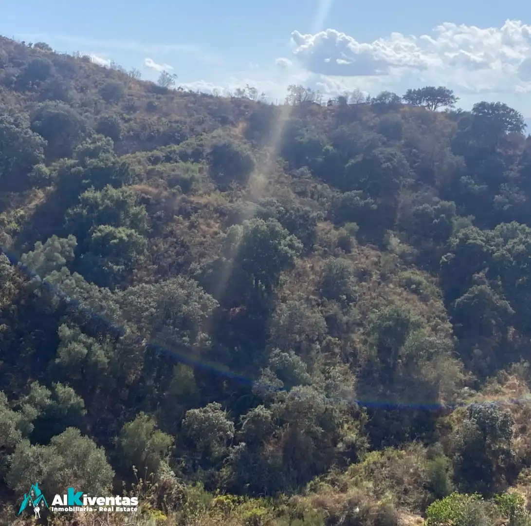 Rural land for sale in Cártama pueblo, imagen 7