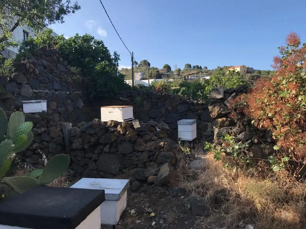 Außenansicht von Country house zum Verkauf in El Pinar de El Hierro
