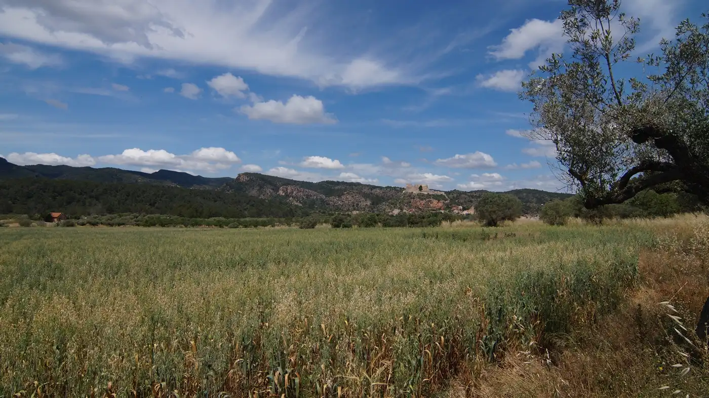 Terreno en venta en Ginestar