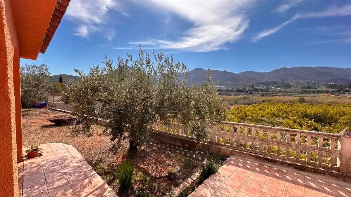 Jardín de Casa o chalet en venta en Benicolet