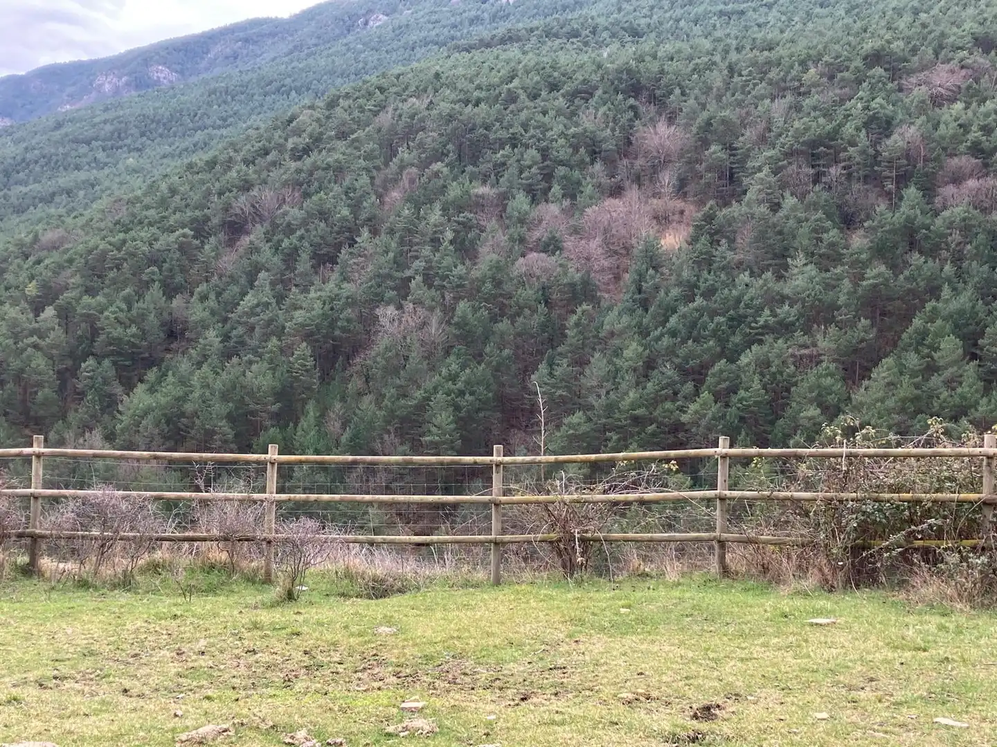 Land for sale in Gisclareny