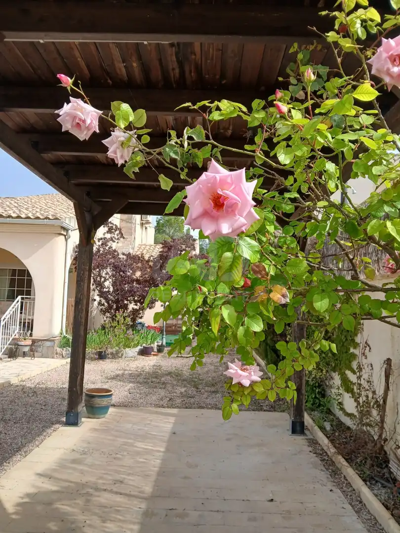 Jardín de Casa o chalet en venta en Calasparra con Terraza y Piscina