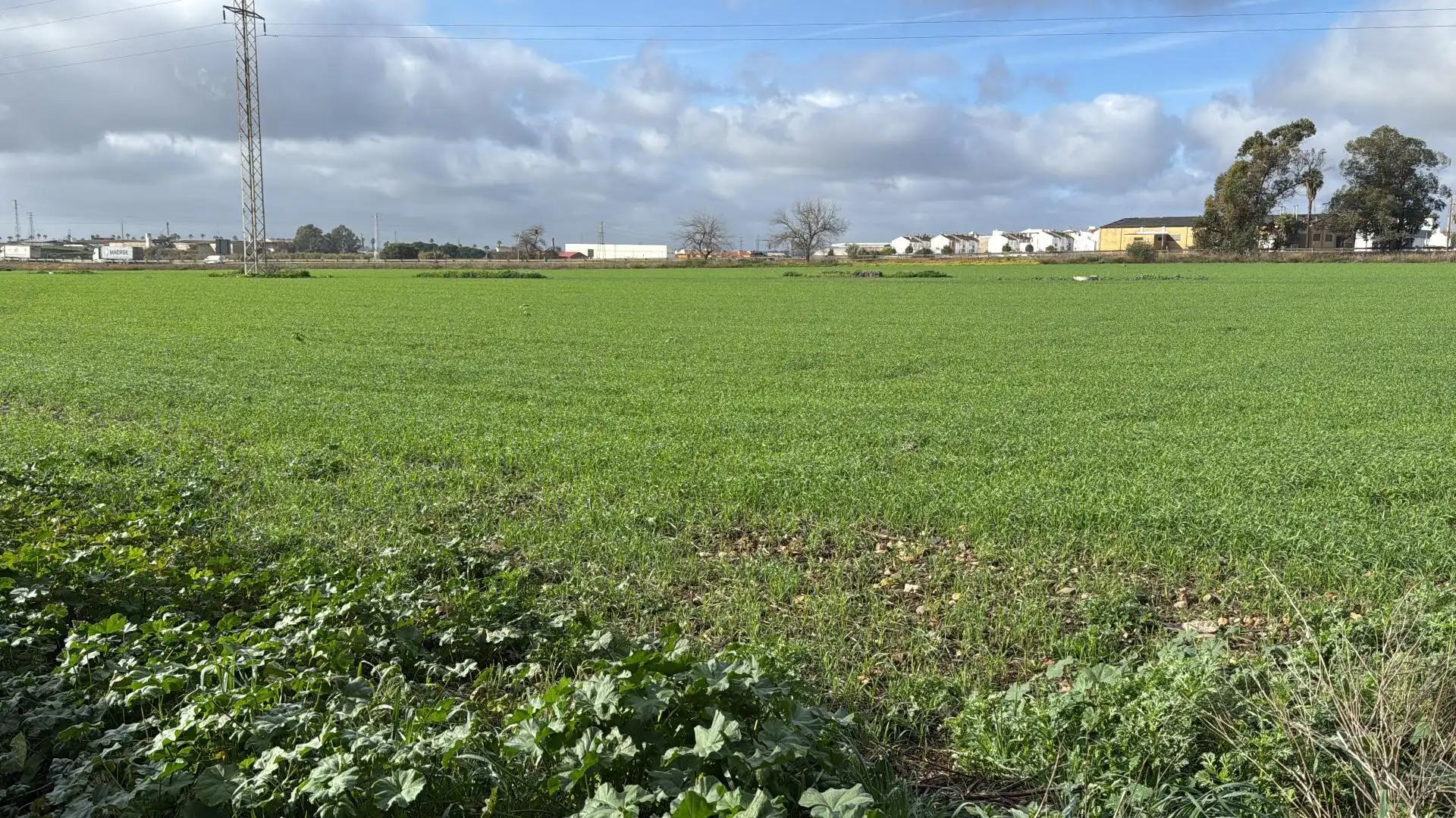 Terreno industrial en venta en Gibraleón