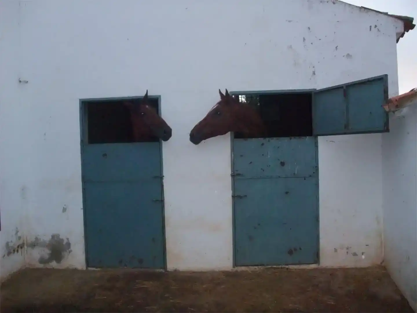 Vista exterior de Piso en venta en Piedrabuena