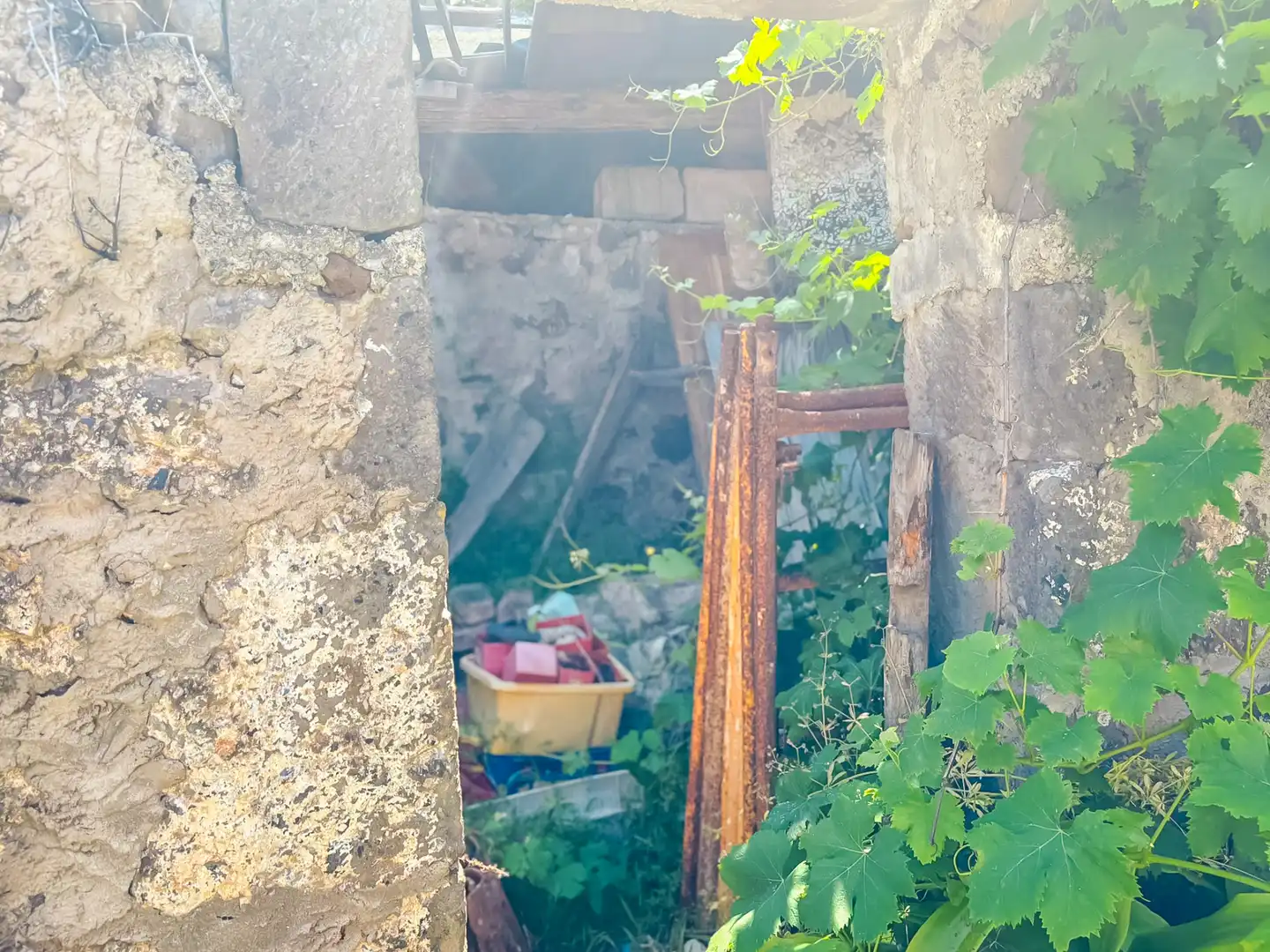Jardín de Casa o chalet en venta en Valleseco