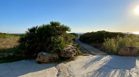 Foto 2 de Planta baja en venta en Alemanes, Zahara de los Atunes