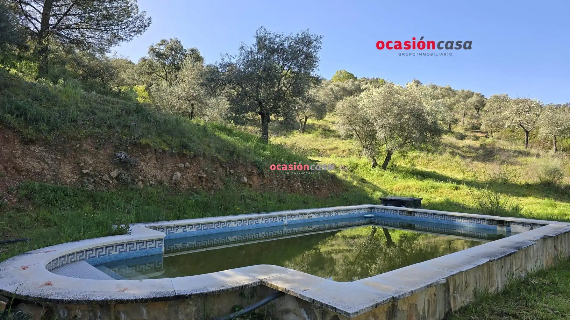 Piscina de Casa o chalet en venta en Pozoblanco con Jardín privado, Terraza y Trastero