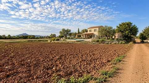 Photo 2 of Country homes for sale in Polígono Poligon 25, 1420, Manacor Centre, Manacor