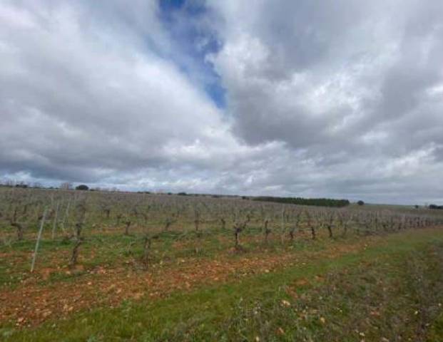 Terreno residencial en Venta en Calle Paraje Pielagos en Chozas de Abajo