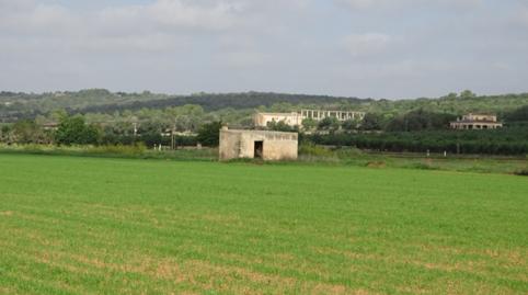 Foto 3 de Terreny en venda a Felanitx Poble, Felanitx