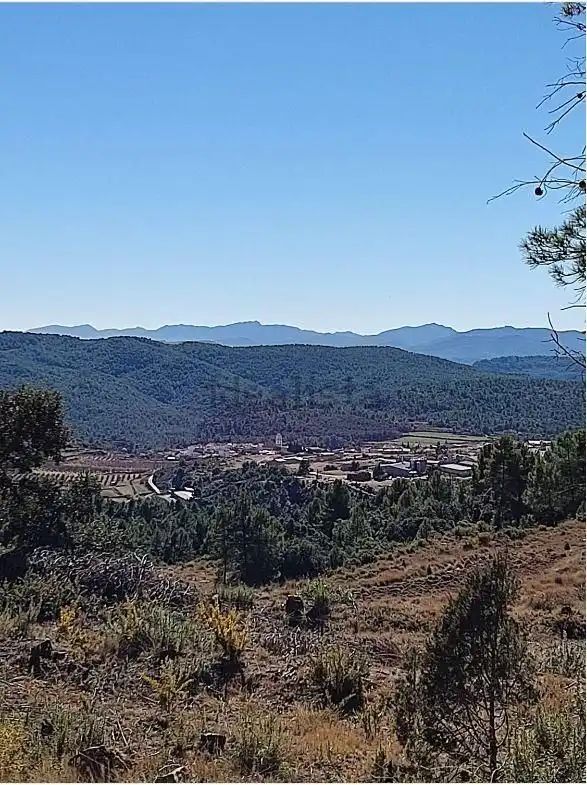 Finca rústica en venta en Zucaina
