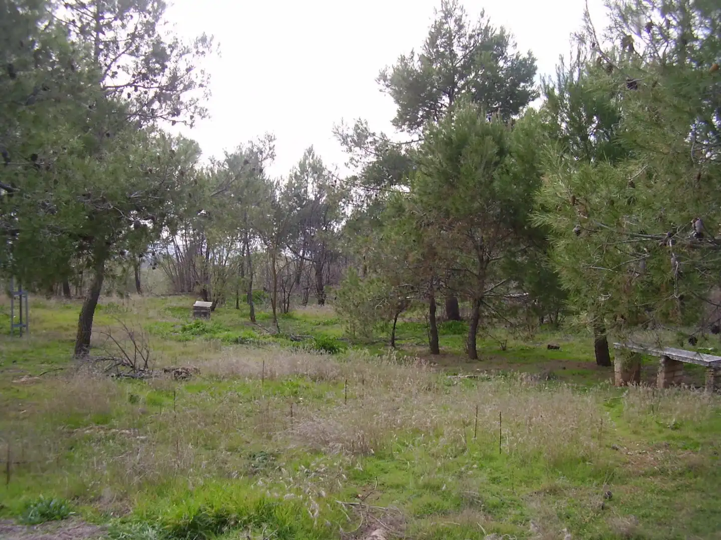 Terrenos y solares en venta en Úbeda, imagen 3