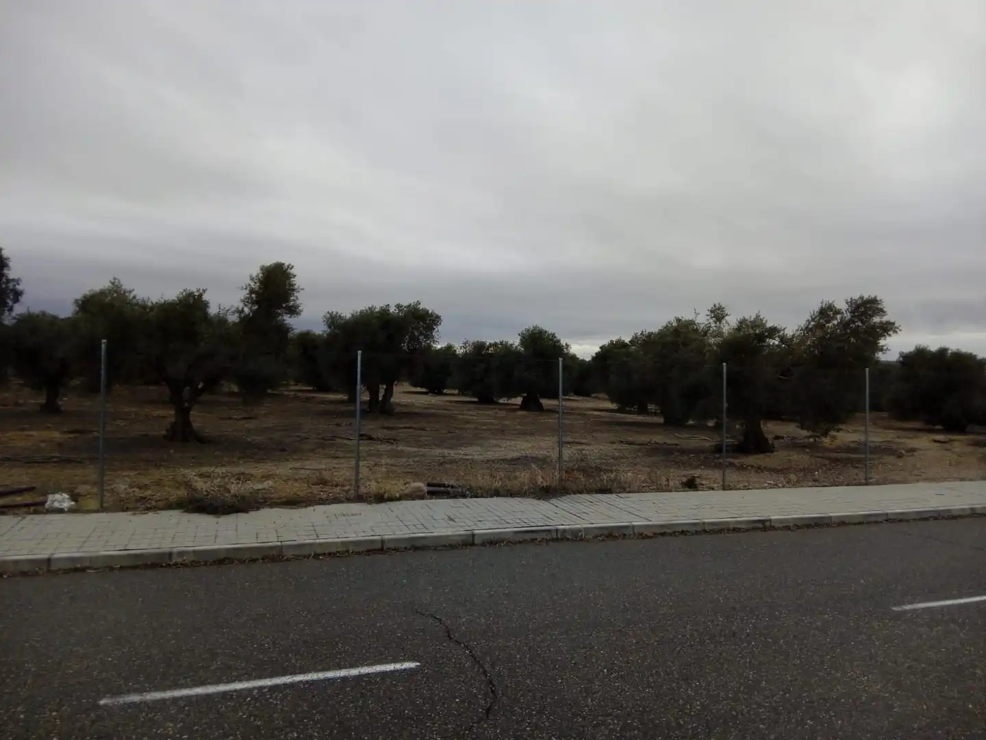 Terreno residencial en venta en Calle Rosalia de Castro 5D, imagen 4