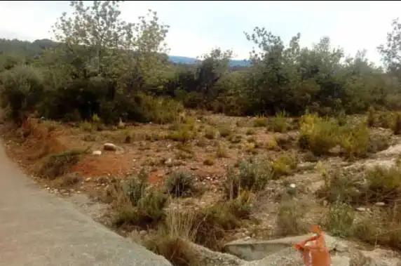 Terreny rústic en venda a San Jorge / Sant Jordi, imagen 9