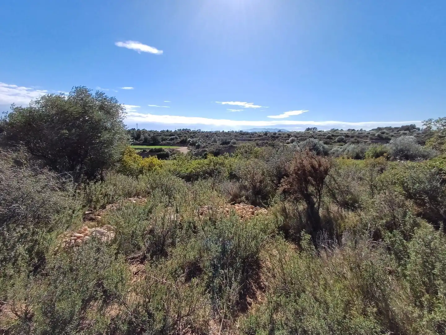Terreno en venta en Tortosa