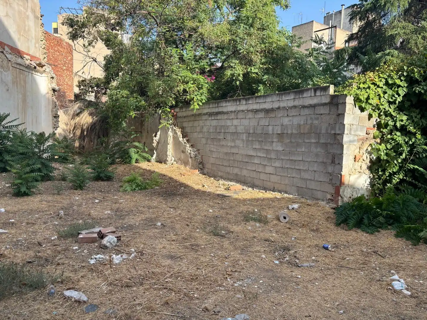 Terreny rústic en venda a Aspe Centro, imagen 3