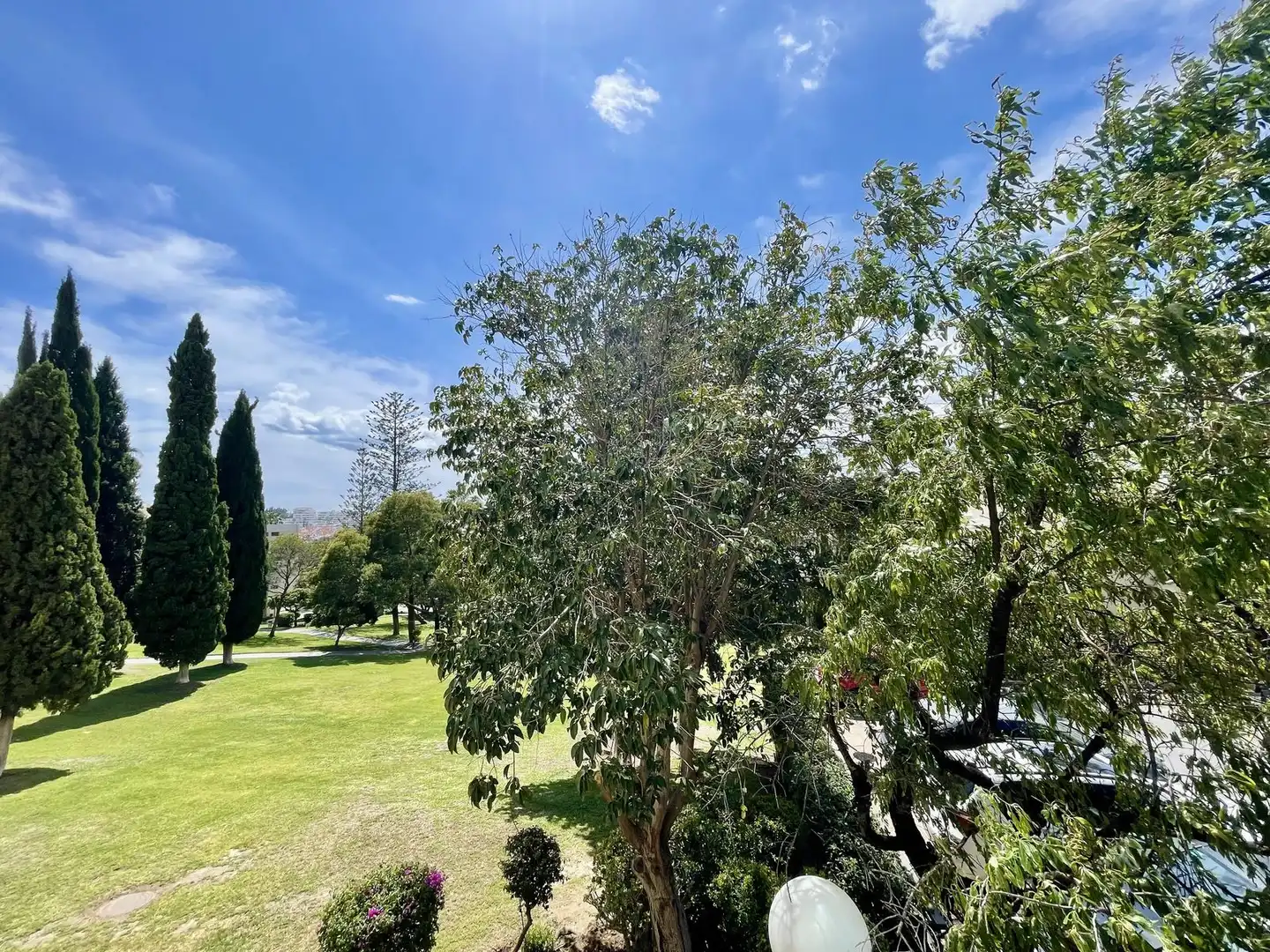 Jardín de Estudio en venta en Marbella con Amueblado