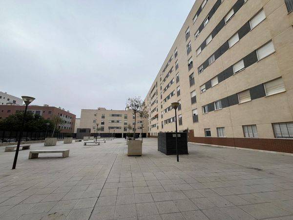 Local comercial en Alquiler en Pino Montano - Consolación