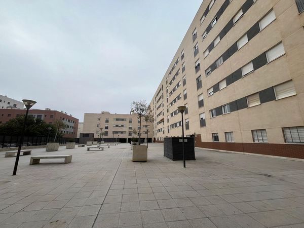 Local de alquiler en Pino Montano - Consolación , Norte