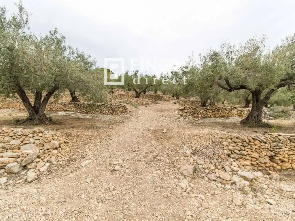 Finca rústica en venda en Tortosa amb Moblat