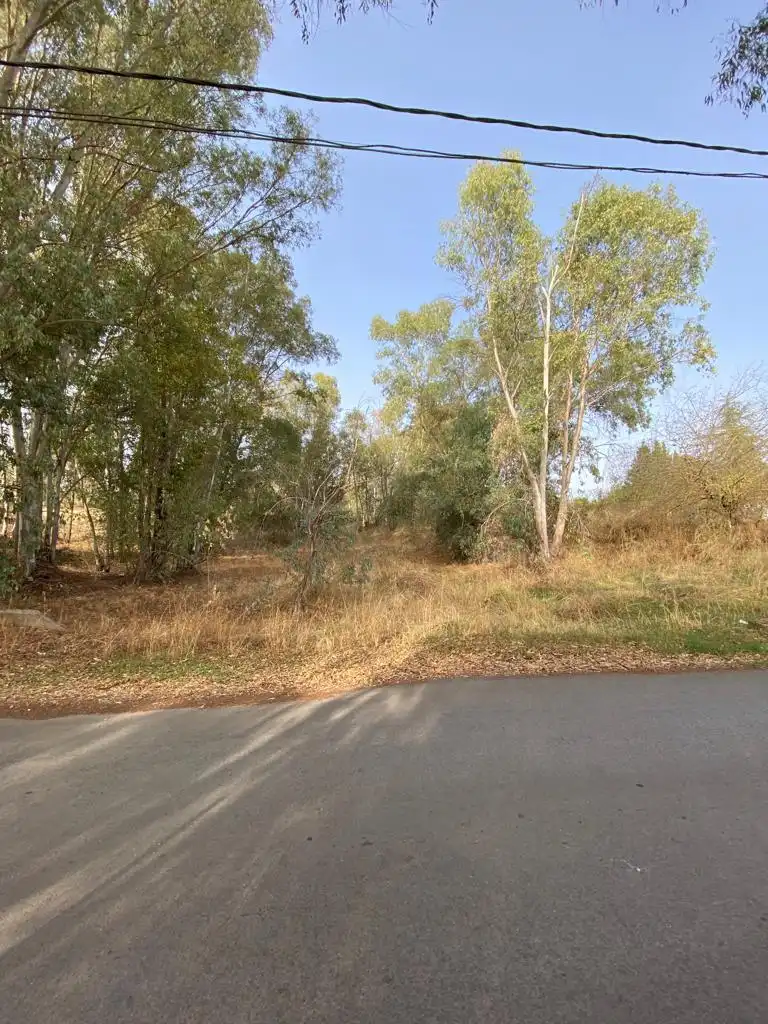 Grundstücke und Bauplätze zum Verkauf in Avenida Proserpina 60, imagen 2