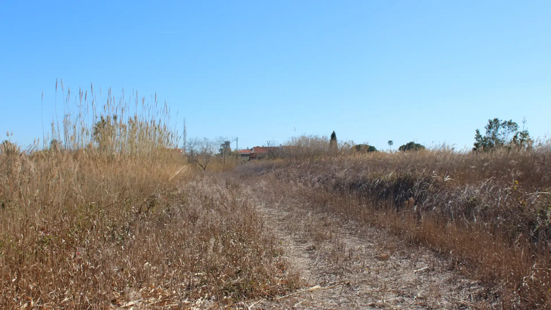 Residential zum Verkauf in Castellón de la Plana / Castelló de la Plana