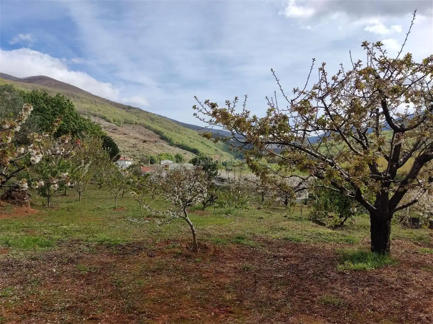 House for sale in Carretera de Barco 1, imagen 9