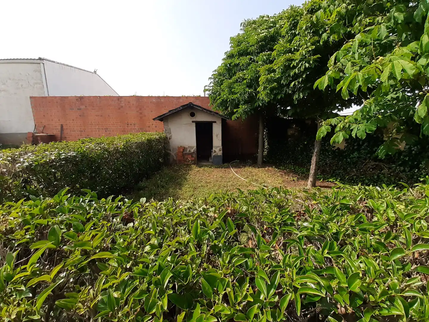 Jardí de Residencial en venda en Cubillos