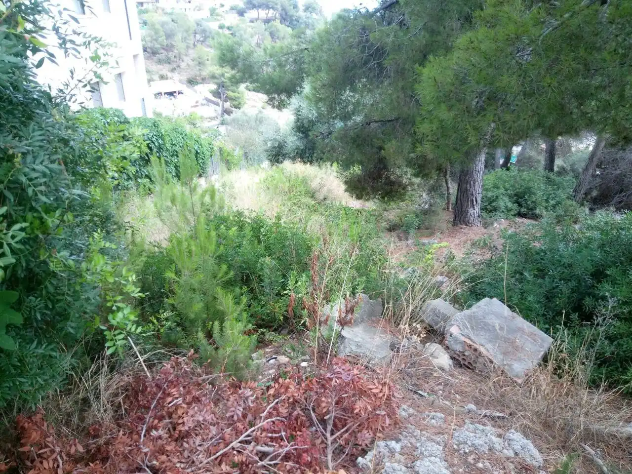 Terreno rustico in vendita a Calle Tulipa, imagen 2