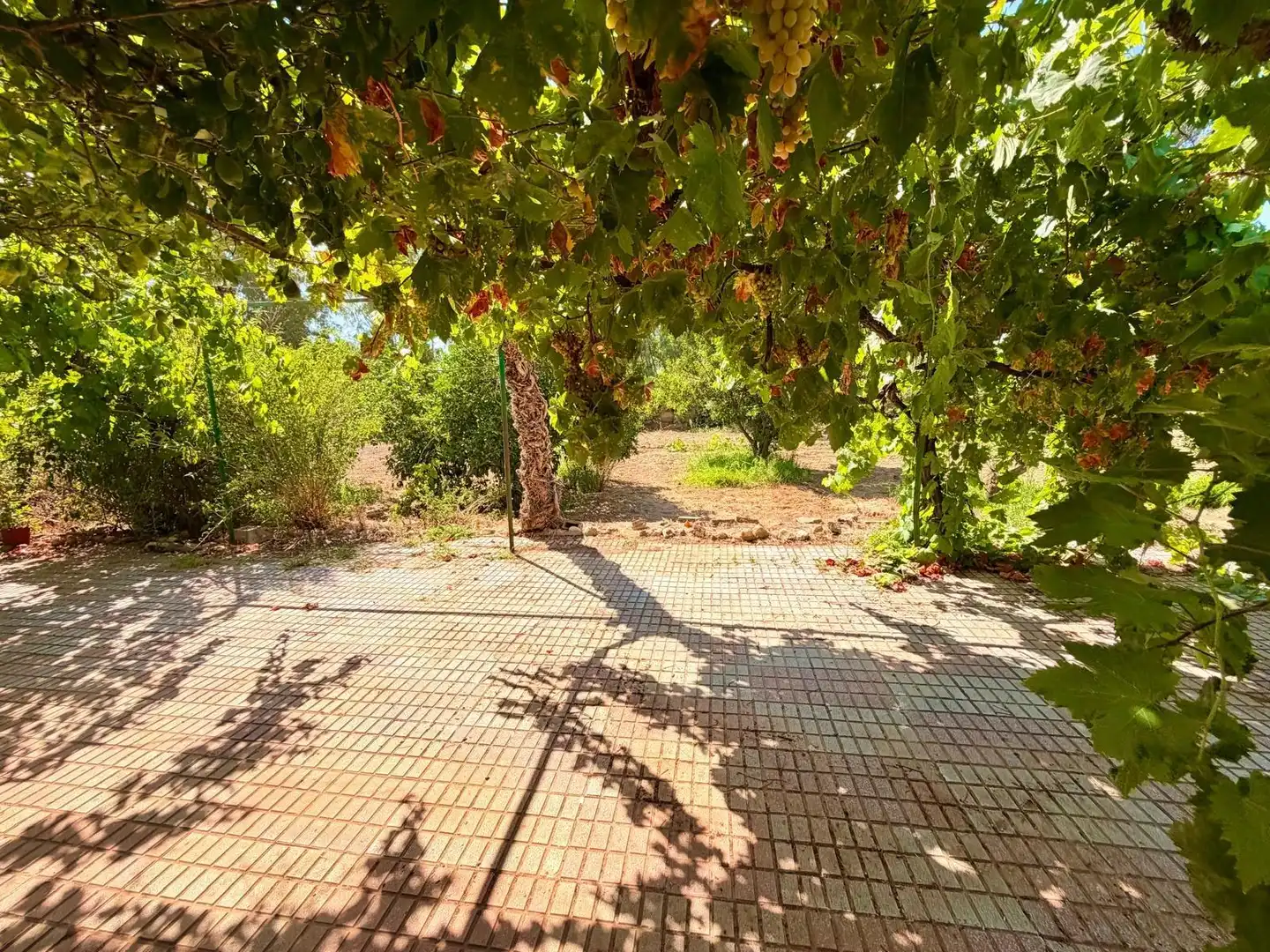 Casa o chalet en venta en Valverde de Mérida con Jardín privado, Terraza y Trastero